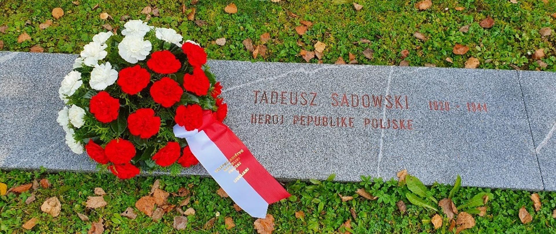 Tadeusz Sadowski