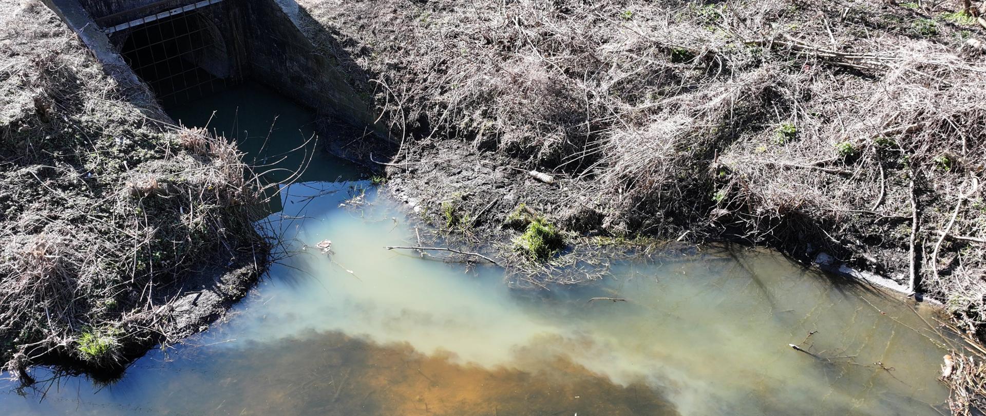 Na zdjęciu widać wylot z kolektora i wyciek białej substancji do rzeki.