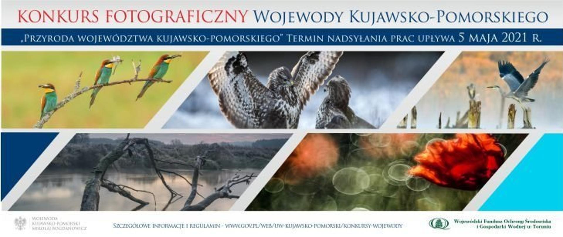 Plakat konkursu. U góry napis Konkurs Fotograficzny Wojewody Kujawsko-Pomorskiego "Przyroda Województwa Kujawsko-Pomorskiego". Termin nadsyłania prac upływa 5 maja 2021 r. Szczegółowe informacje i regulamin - adres strony. Poniżej pięć zdjęć z poprzedniego konkursu. U dołu loga KPUW i WFOŚ.