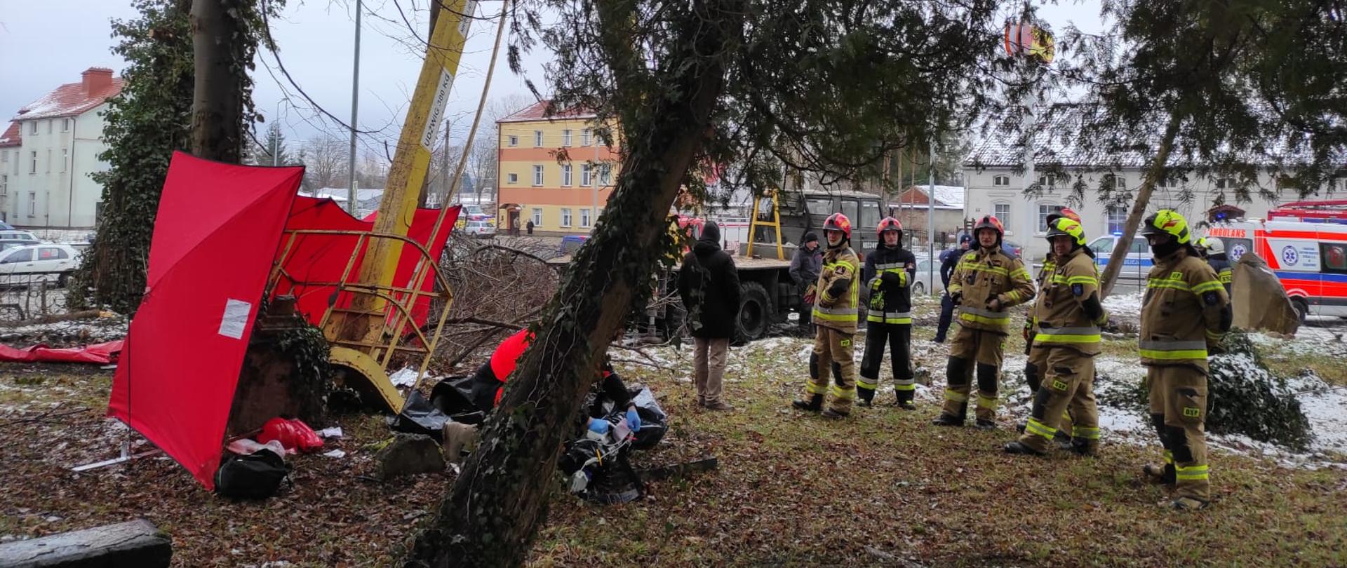 Z prawej strony stoi sześciu strażaków. Z lewej czerwony parawan strażacki i w tle uszkodzony podnośnik i drzewa.
