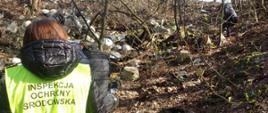 Inspektorzy WIOŚ przeprowadzający oględziny miejsca porzucenia odpadów w miejscowości Wierzawice 