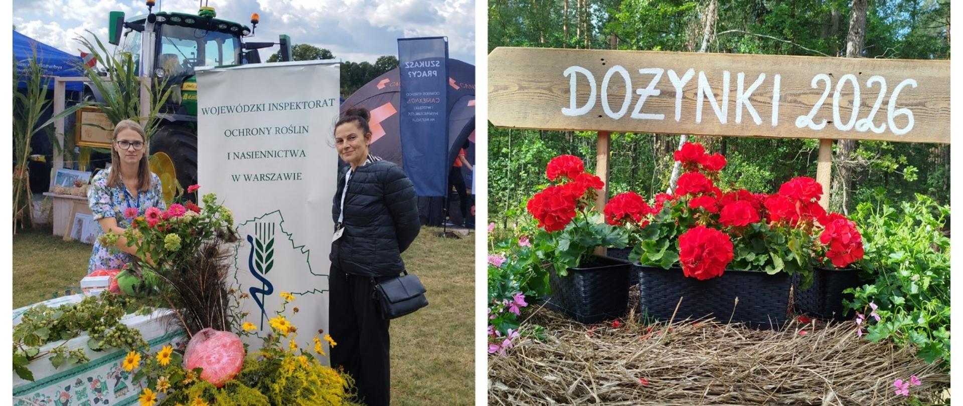 Kolaż zdjęć z Dożynek 2026. Widoczne są stoisko Wojewódzkiego Inspektoratu Ochrony Roślin i Nasiennictwa w Warszawie, dekoracje z kwiatów, owoców i słomy, scena dożynkowa, osoby pozujące do zdjęcia, zielona maskotka szkodnika oraz materiały promocyjne PIORiN.