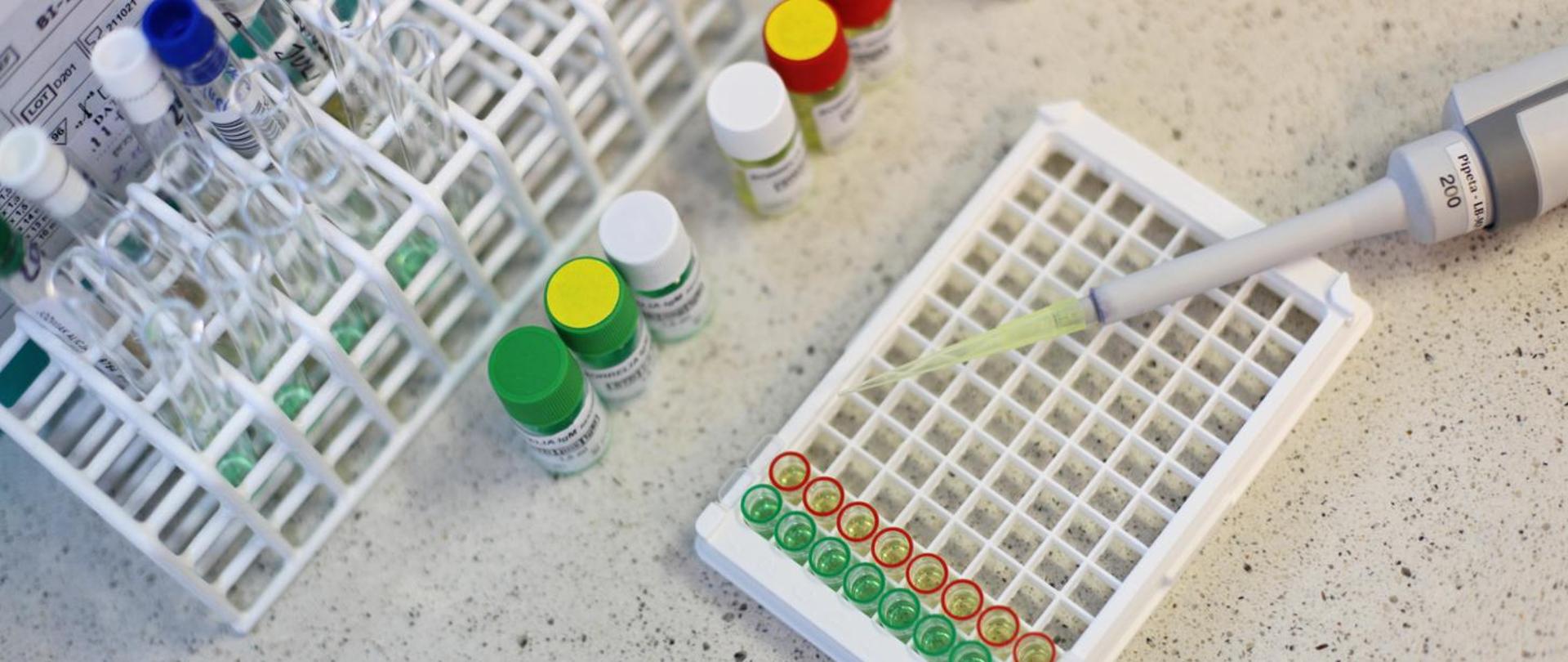 Choroby odkleszczowe: Borelioza z Lyme i Kleszczowe Zapalenie Mózgu