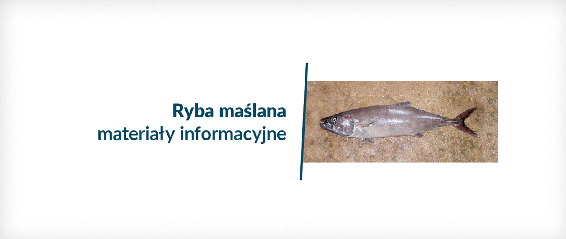 Ryba maślana - informacje