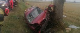 Wypadek samochodu osobowego w miejscowości Kisiny