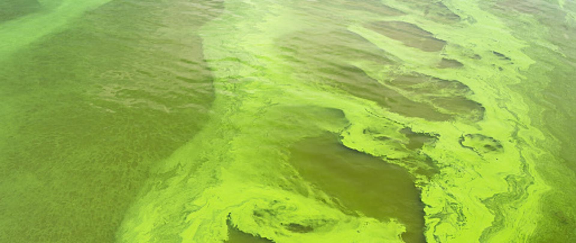 istockphoto-622966806-170667a