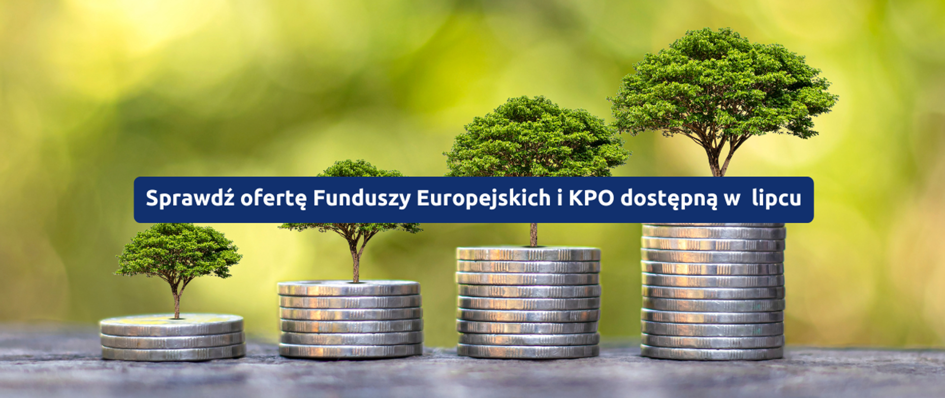 Grafika przedstawia hasło projektu i monety z rosnącymi drzewami