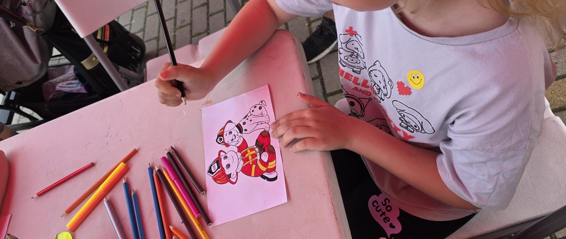 Piknik służb mundurowych