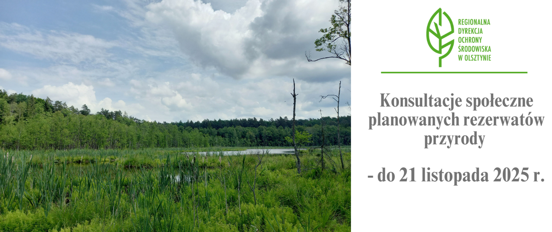 Obraz podzielony na dwie części. Po lewej stronie projektowany rezerwat przyrody Kirszniter. Widoczne zarośnięte brzegi jeziora. W oddali las. Z prawej strony Logo (zielony liść) z napisem Regionalna Dyrekcja Ochrony środowiska w Olsztynie, a pod nim napis: Konsultacje społeczne planowanych rezerwatów przyrody - do 21 listopada 2025 r.