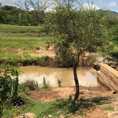 Livelihoods improvements through integrated and environmental friendly employment development in South Kenya