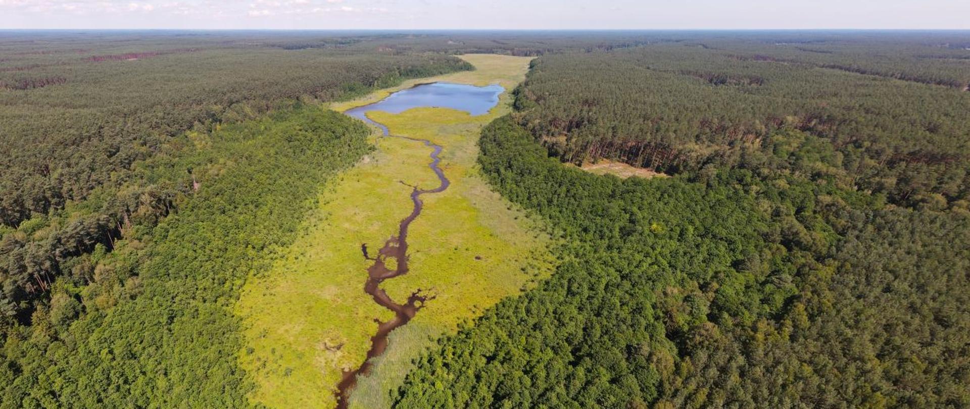 Obszar Natura 2000 Bory Tucholskie - rezerwat przyrody Miedzno