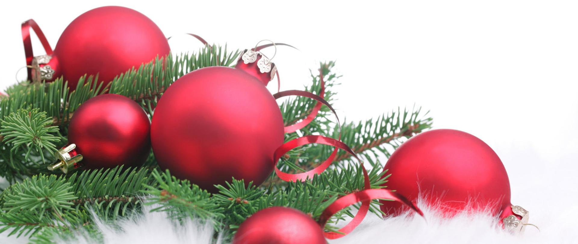 zielona gałązka świerku z czerwonymi bombkami i czerwoną wstążką