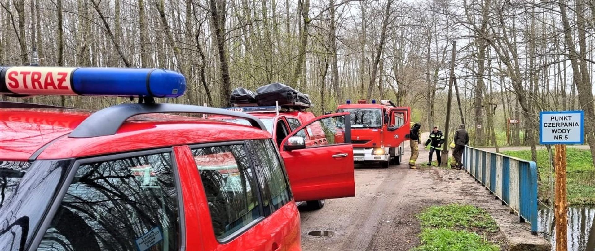 Zdjęcie przedstawia zastępy uczestniczące w kontrolowaniu lasów.