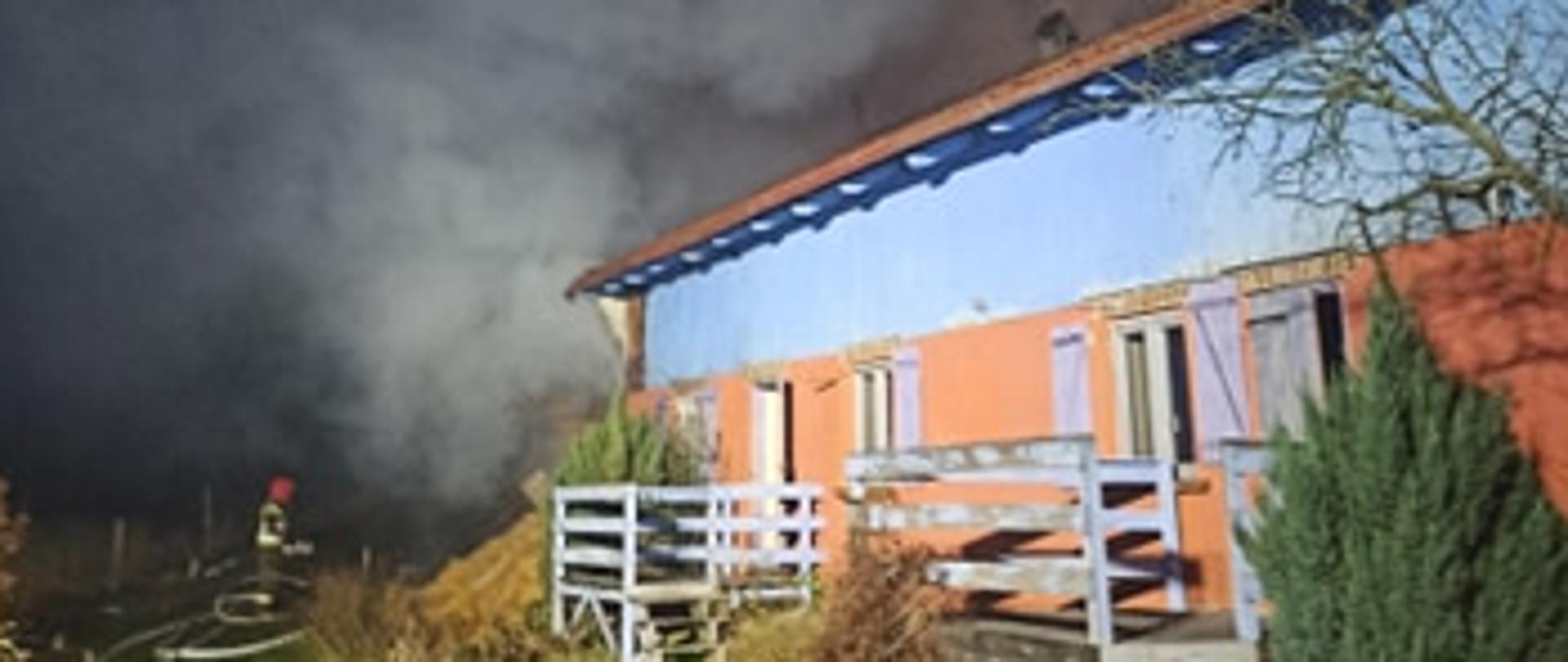 Widok budynku, który znajdował się w bezpośrednim sąsiedztwie stodoły, strażacy dokonali skutecznej obrony budynku, dzięki czemu spaliła się tylko jego niewielka część.
