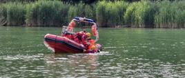 Strażacy na łodzi wyciągający osobę poszkodowaną z wody. Z tyłu tataraki