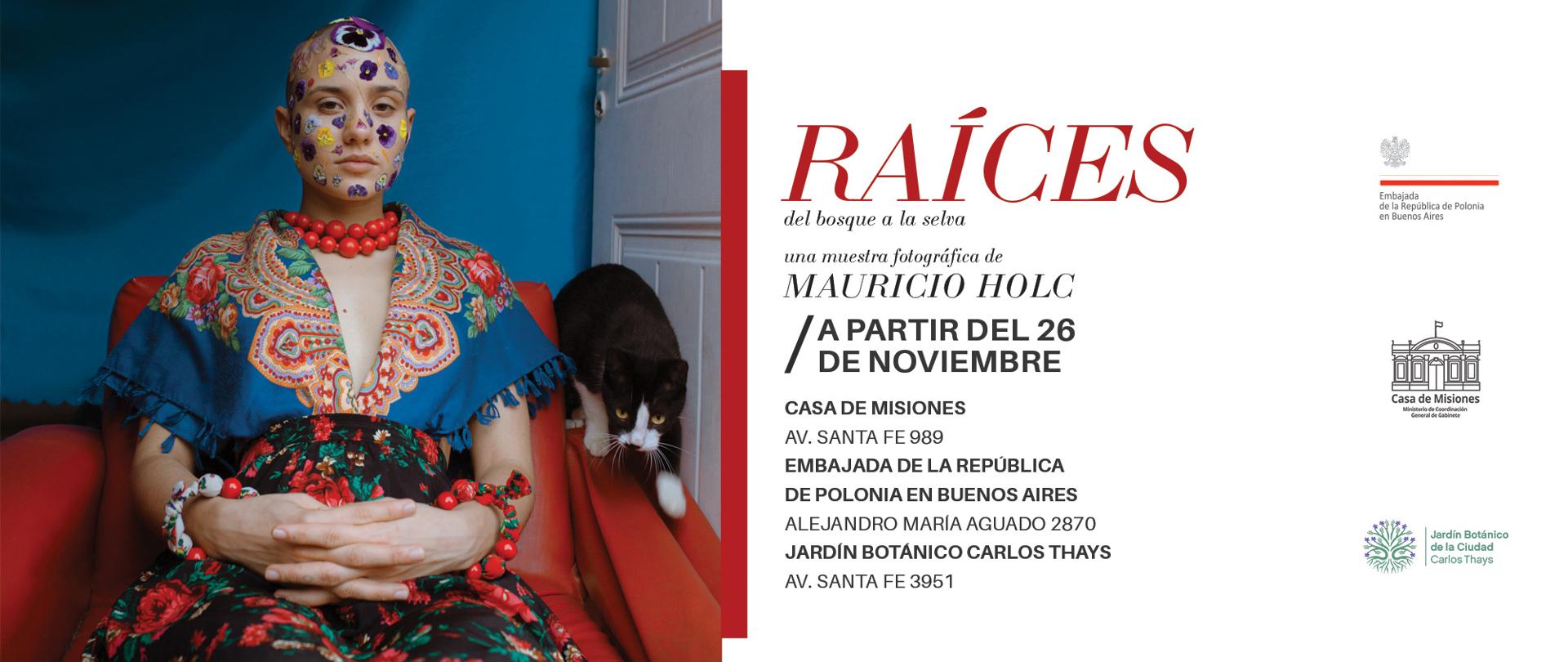 RAÍCES: del bosque a la selva