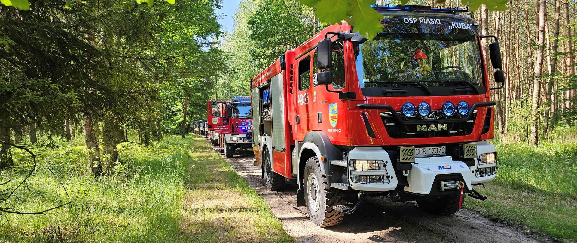 Czerwone ciężarowe samochody strażackie stojące w rzędzie na nieutwardzonej drodze w lesie