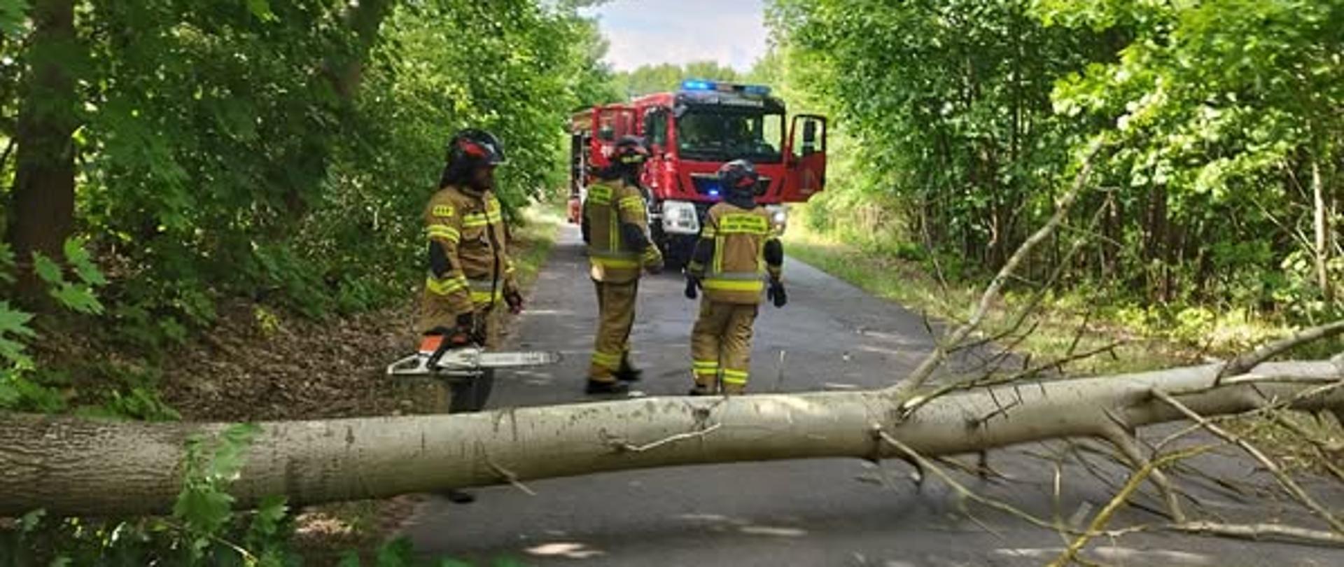 Drzewo powalone na drogę, w tle strażacy i wóz strażacki.