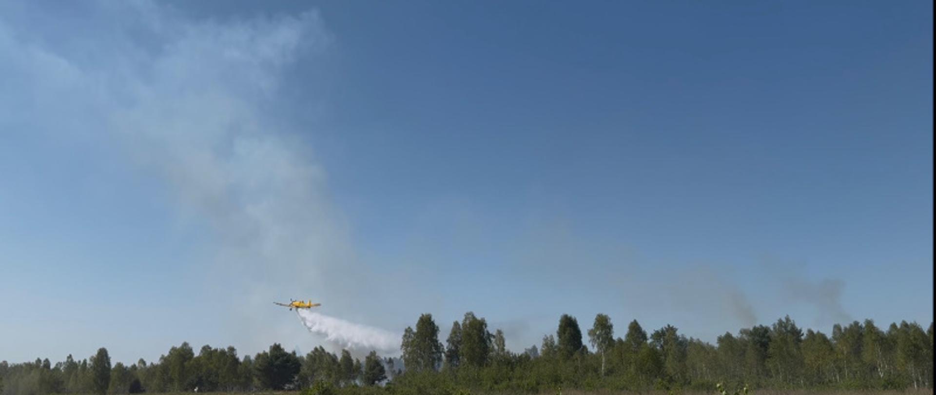 Dromader wykonujący zrzut wody na palace się poszycie lasu