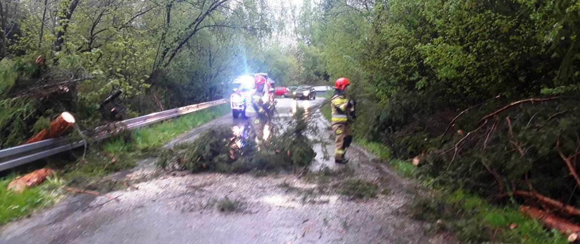 Strażacy usuwają powalone drzewo z drogi.