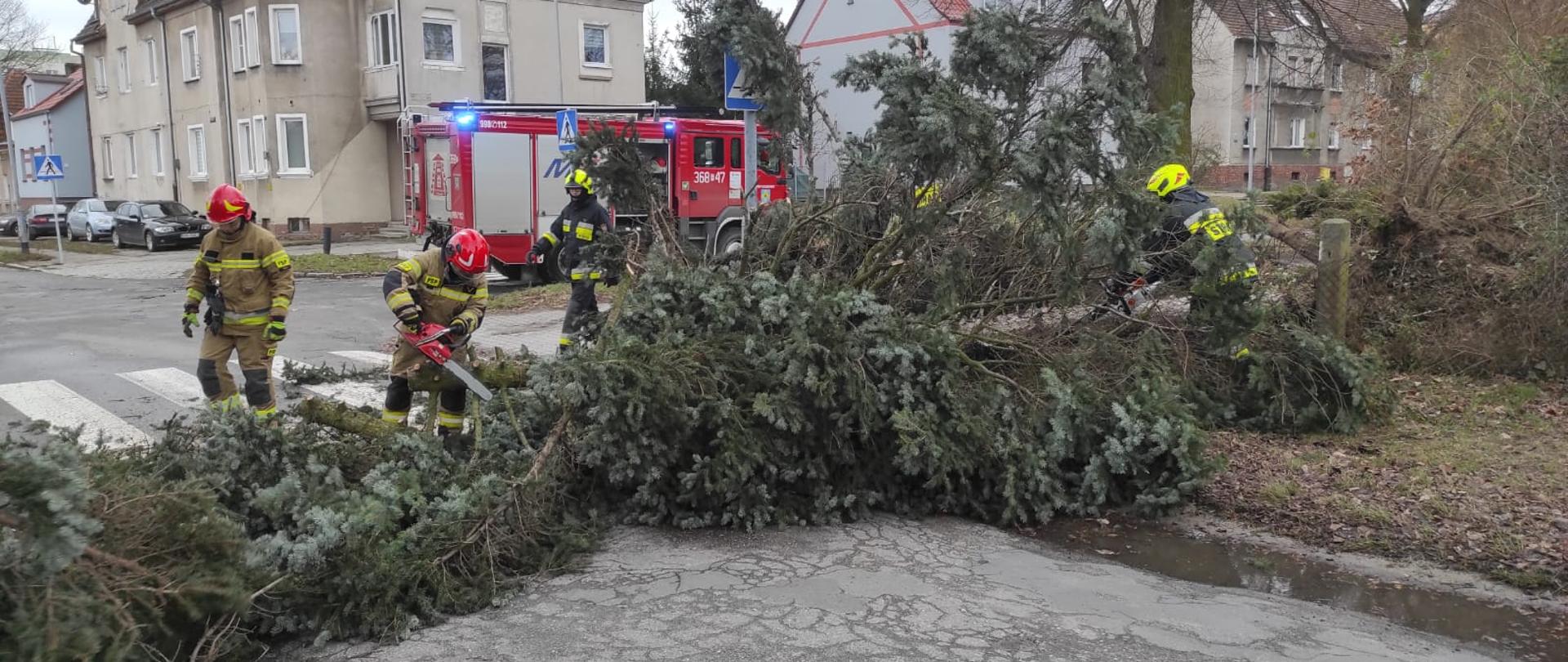Na zdjęciu widoczne jest drzewo, które powalone jest na asfaltową drogę. Strażacy tną je pilarkami spalinowymi.