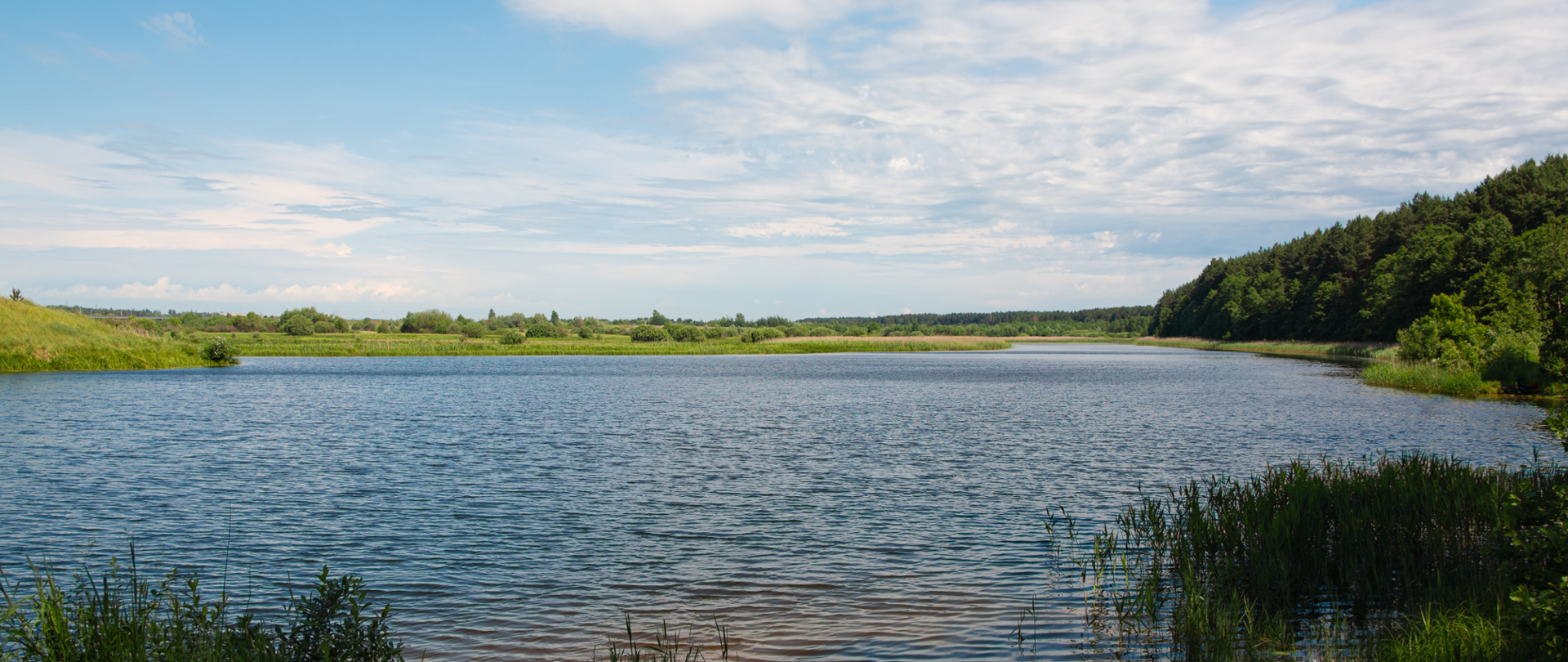 Na zdjęciu na pierwszym planie widzimy jezioro, na drugim planie zielony krajobraz, drzewa, trawy, krzaki