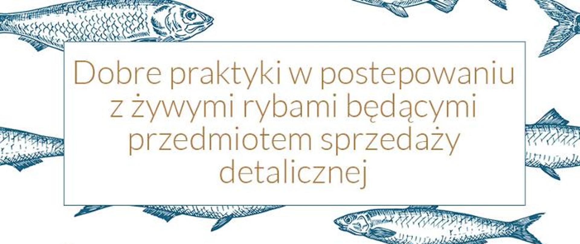 Nad rysunkami ryb w kwadratowej ramce napis: DOBRA PRAKTYKA W POSTĘPOWANIU Z ŻYWYMI RYBAMI BĘDĄCYMI PRZEDMIOTEM SPRZEDAŻY DETALICZNEJ