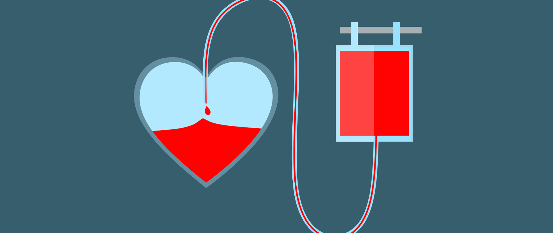 Apel o pomoc dla Natalki – Oddaj Kroplę Życia!