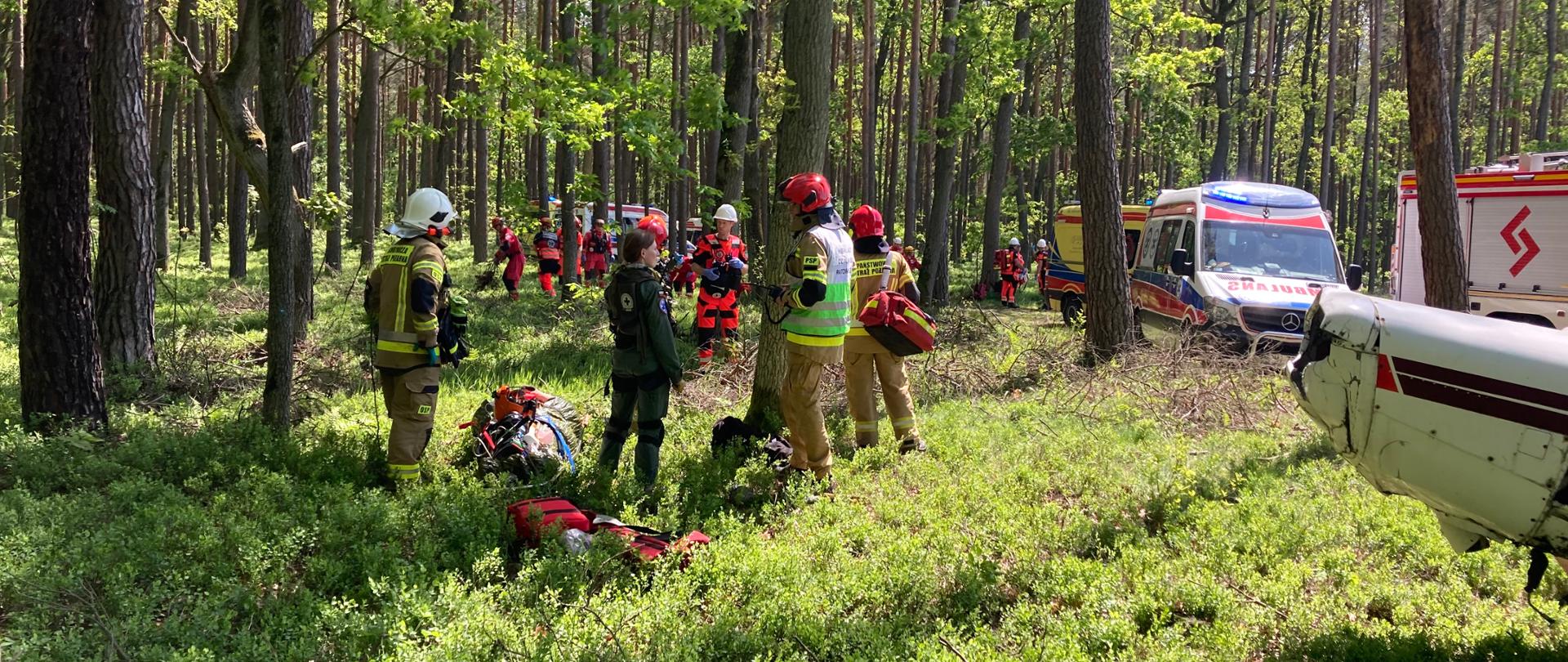 Teren działań ratowniczych - tereny leśne, widoczny wrak samolotu oraz ratownicy prowadzący działania ratownicze. 