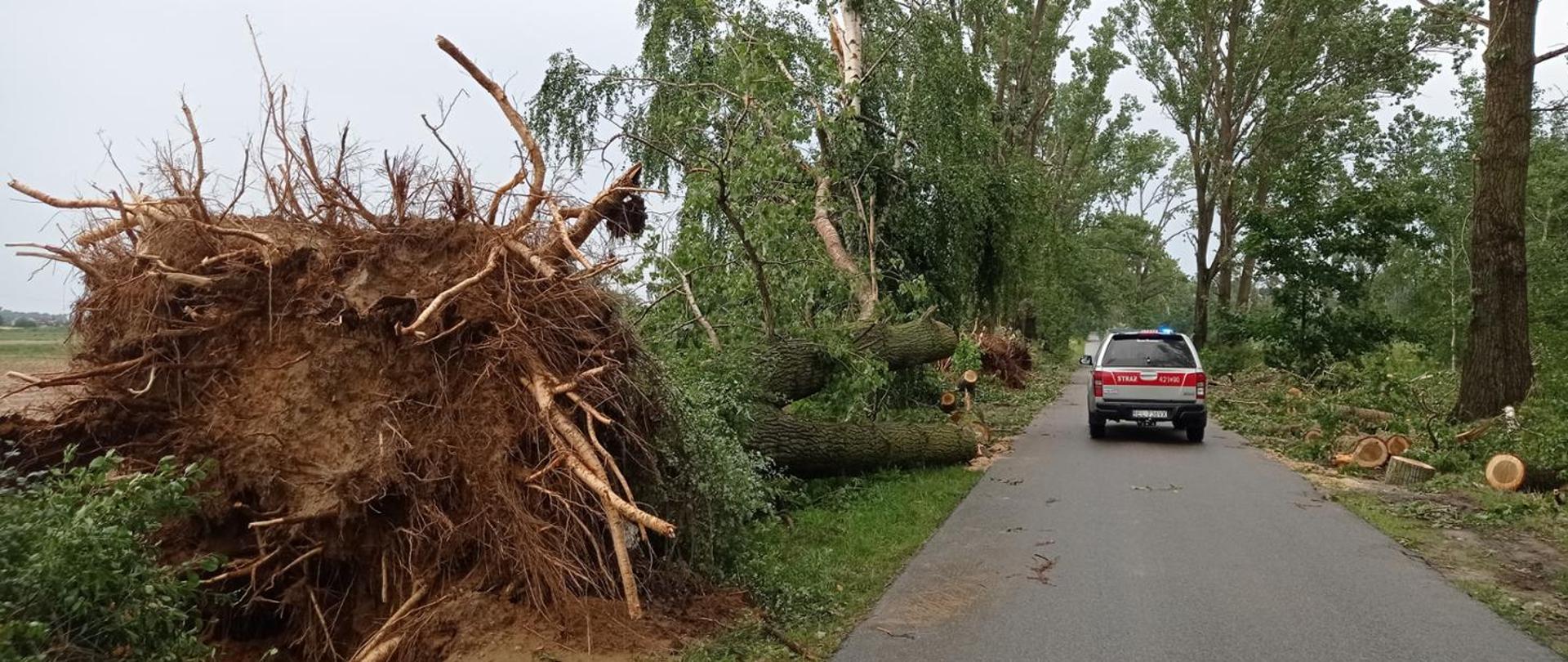 Interwencje strażaków w województwie łódzkim w związku z burzami 14 i 15 lipca