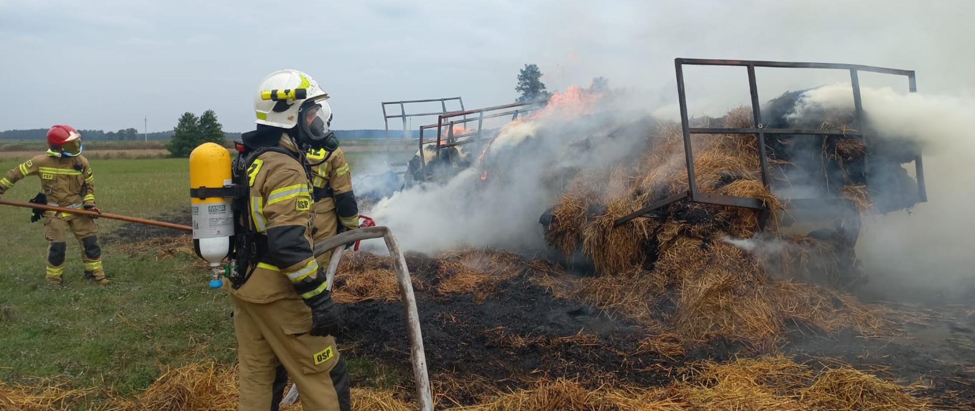 Na zdjęciu widać strażaków rozciągających i polewających tlącą się słomę 