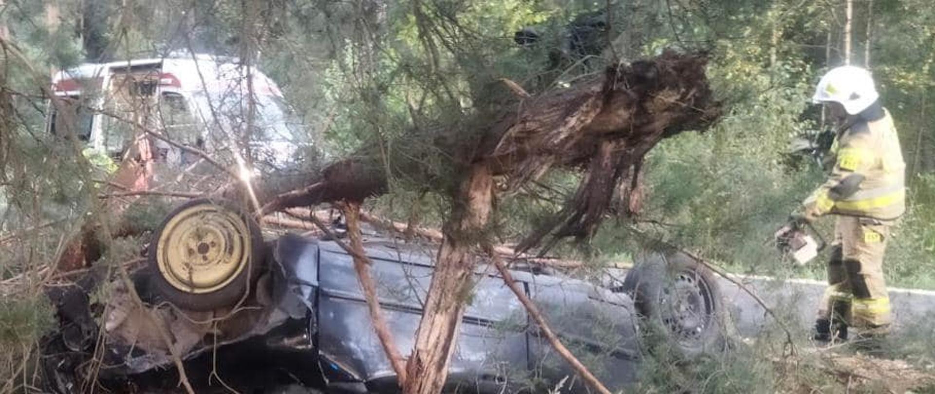 Na zdjęciu znajduje się wrak pojazdu pomiędzy drzewami oraz strażak ubrany w ubranie specjalne