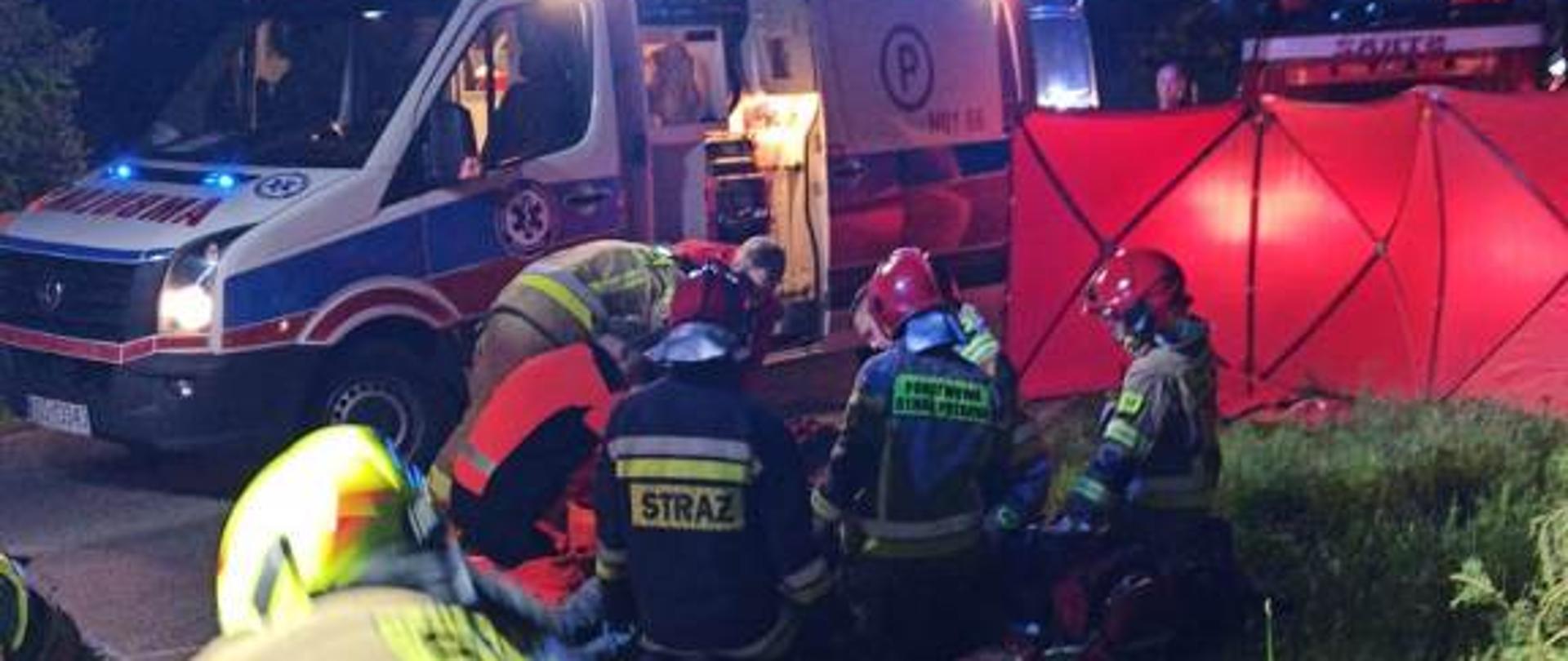 Strażacy oraz ratownicy medyczni udzielający pomocy medycznej poszkodowanym w wypadku samochodowym.