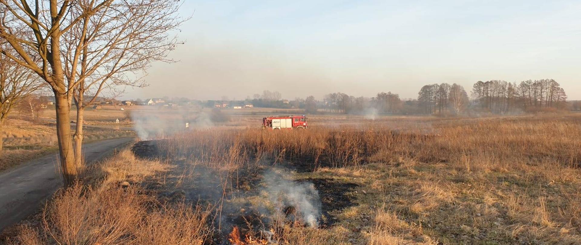 Pożar traw na nieużytkach. W tle samochód pożarniczy.