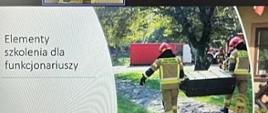 Widok monitora ze stroną prezentacji o treści: "Elementy szkolenia dla funkcjonariuszy" . Nad stroną tytułową prezentacji widocznych jest oficer PSP prowadzący webinarium i inicjały uczestników. 
