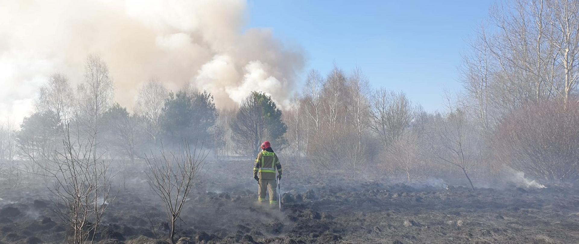 Zdjęcie obrazuje strażaka idącego z tłumicą w kierunku źródła pożaru traw. Dookoła niego widać spalone trawy i krzewy. Przed nim widać gęste kłęby unoszącego się dymu.