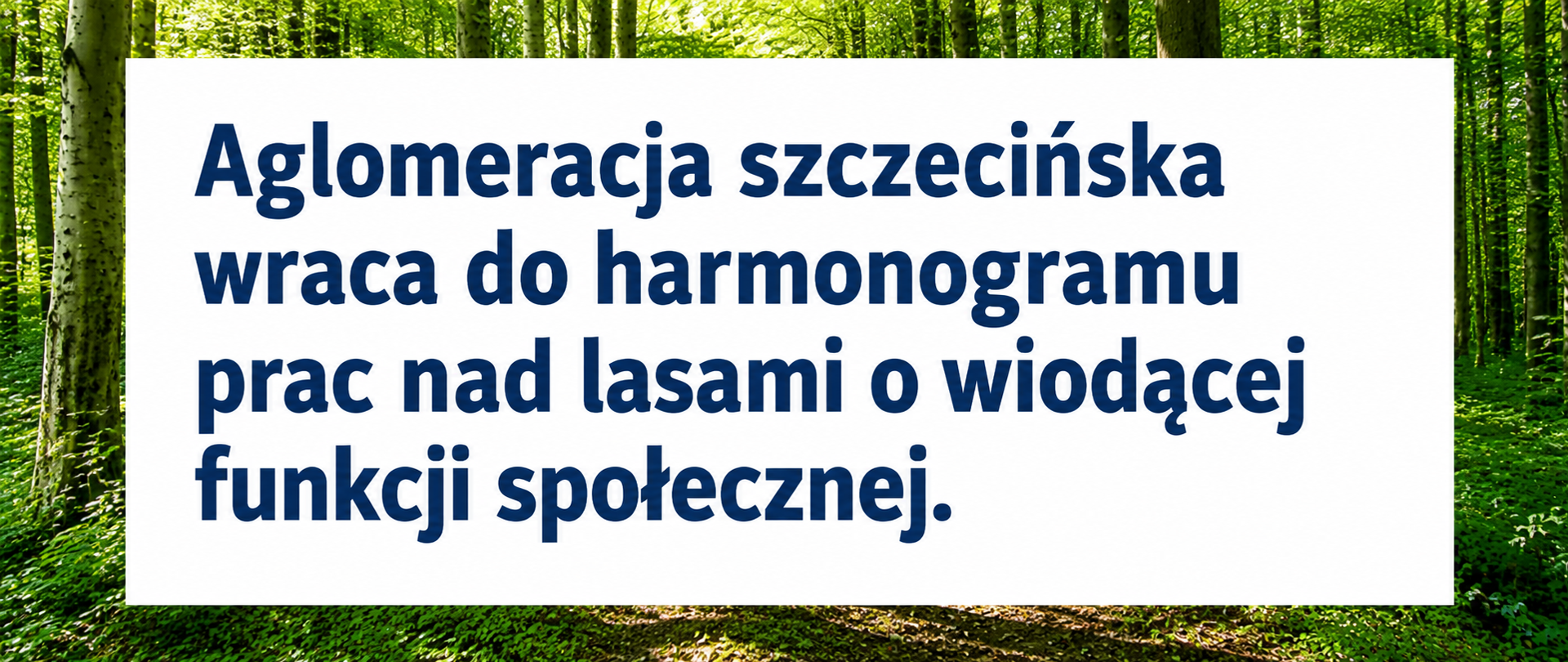 lowsfszcze