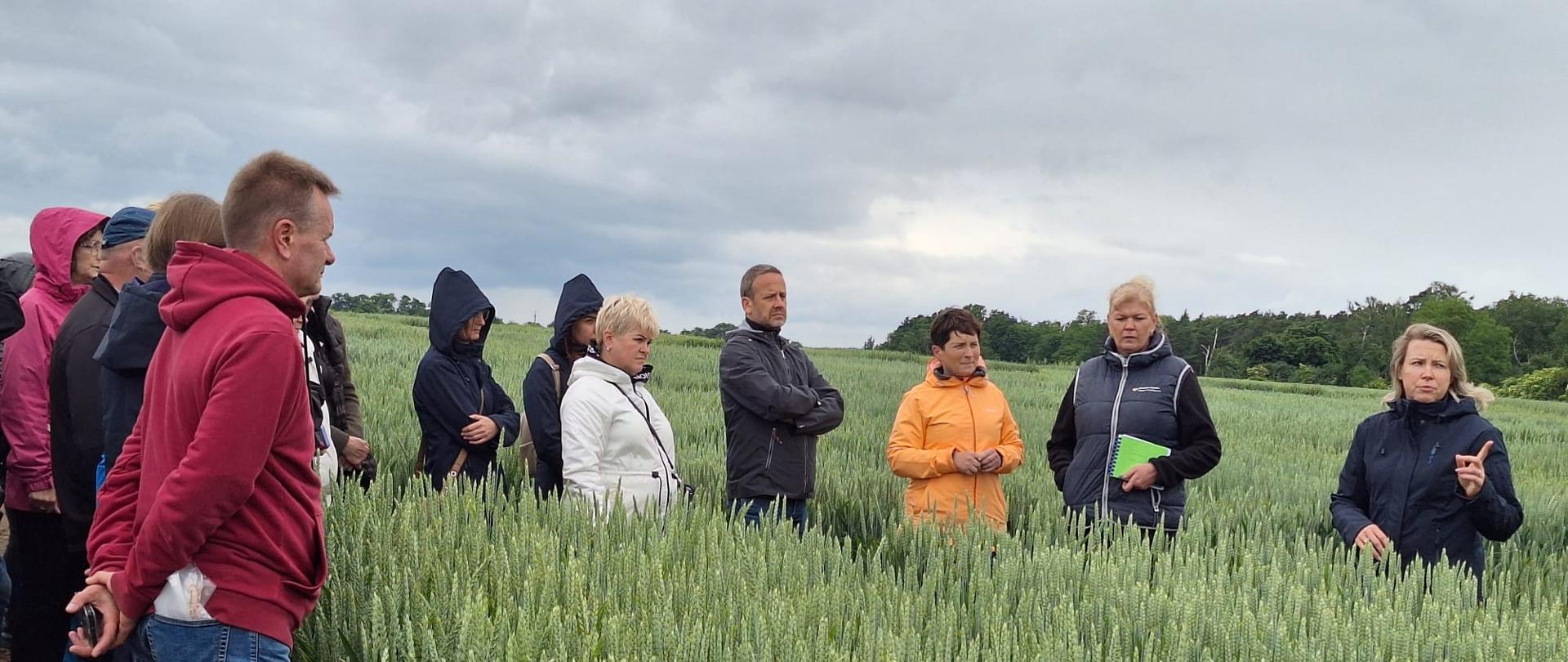 Szkolenie doskonalące kwalifikatorów – część praktyczna