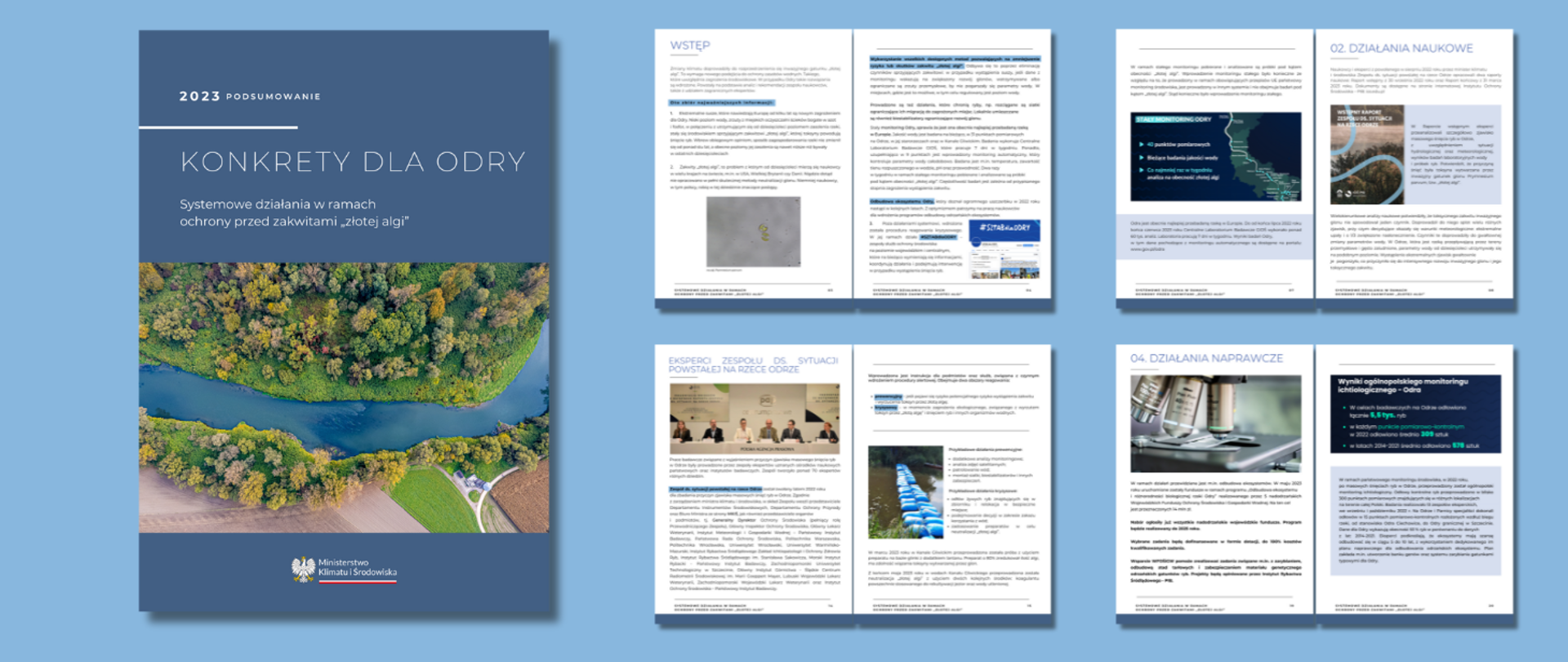 Konkrety dla Odry - systemowe działania w ramach ochrony przed zakwitami „złotej algi”