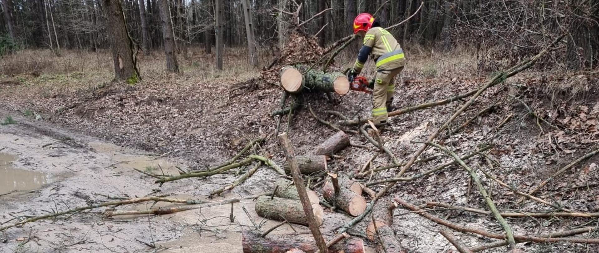 Drzewo leżące na drodze usuwane przez strażaków