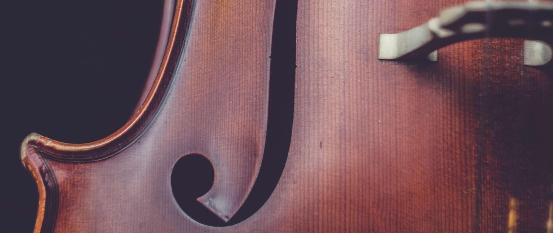 fragment pudła rezonansowego wiolonczeli