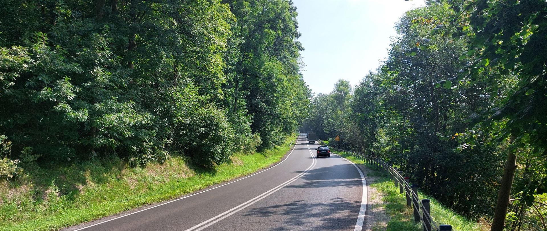 DK52 w Izdebniku, po lewej las, po prawej bariera energochłonna