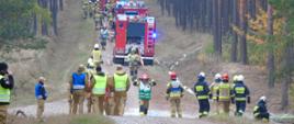 Strażacy i druhowie oraz samochody pożarnicze stoją na drodze leśnej 
