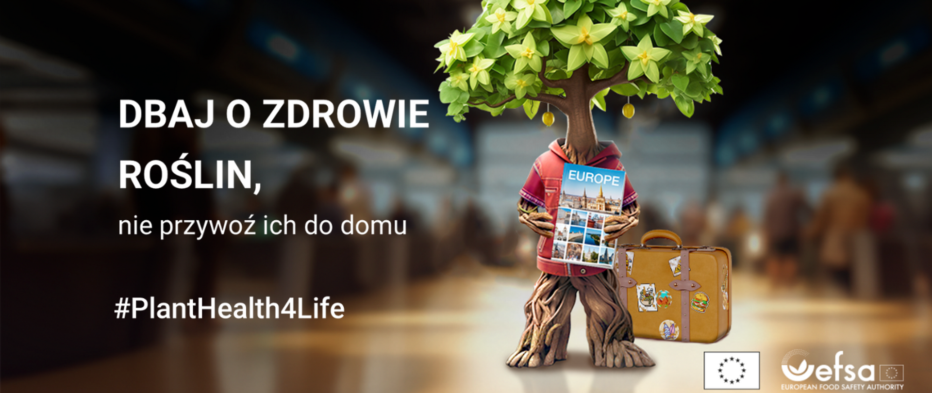 Na zdjęciu drzewko, które wygląda jak podróżująca osoba, ma walizkę i mapę, znajduje się na lotnisku