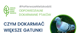 PoPierwszeNieSzkodzić – ptasie dokarmianie
