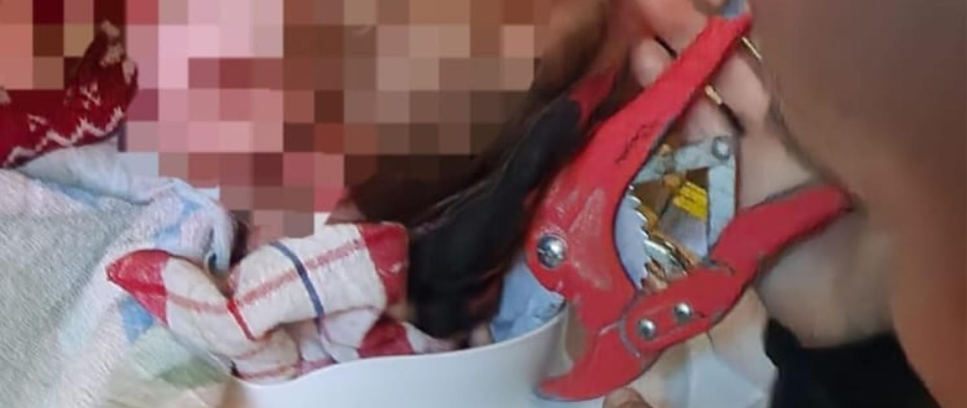 Nietypowa interwencja strażaków