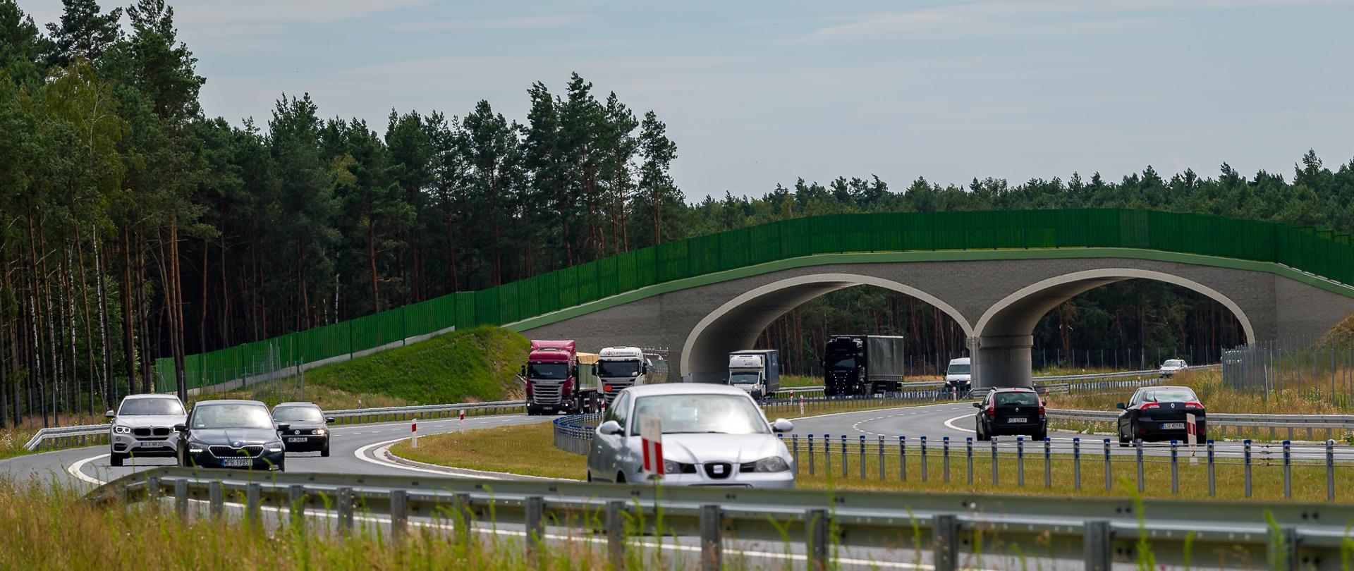 Dwujezdniowa droga, duży ruch samochodów, w tle górne przejście dla zwierząt.