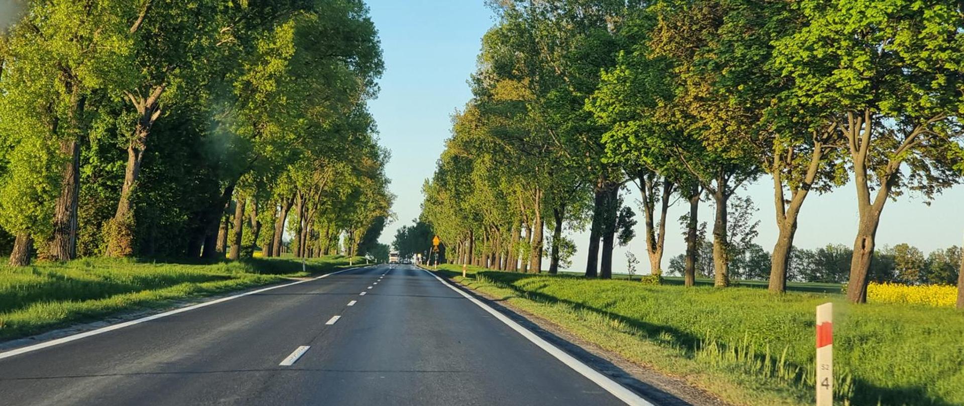 Prosta droga biegnie przez zielony krajobraz, otoczona z obu stron wysokimi drzewami o bujnej, zielonej koronie. Trawa rośnie wzdłuż poboczy, a w oddali można dostrzec znaki drogowe oraz pojazdy. Niebo jest bezchmurne, co wskazuje na słoneczny dzień.