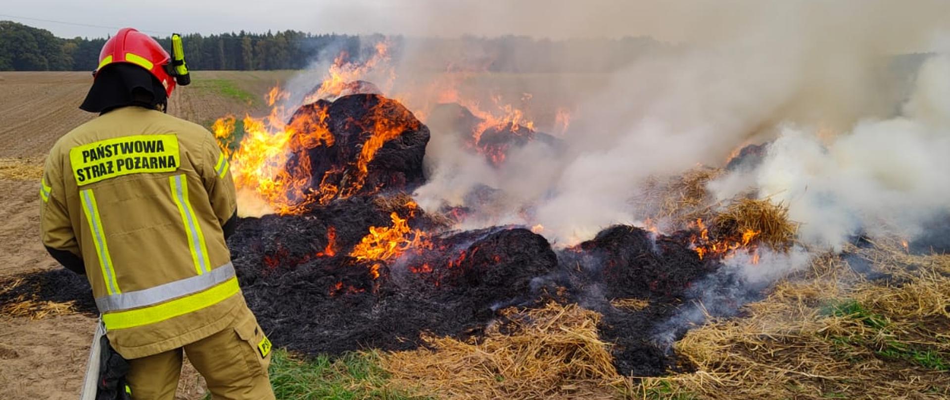 Zdjęcie przedstawia strażaków gaszących pożar stogu słomy.
W tle pole i las.
