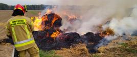 Zdjęcie przedstawia strażaków gaszących pożar stogu słomy.
W tle pole i las.
